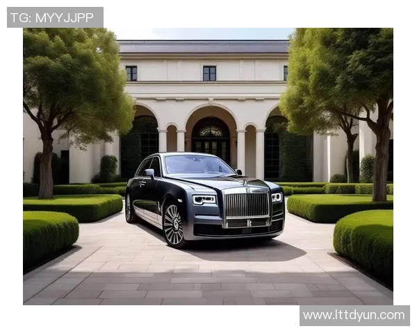 法国足球明星座驾揭秘豪车背后的奢华与个性魅力